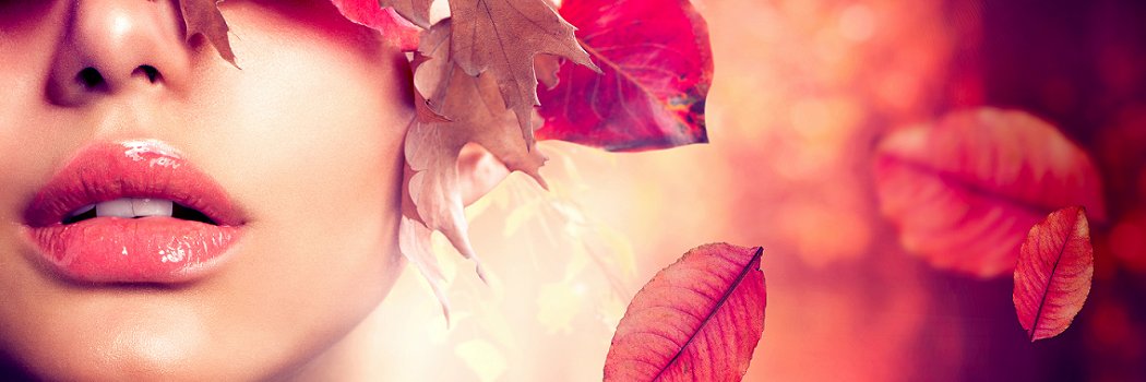 workfromhomerat's profile banner image