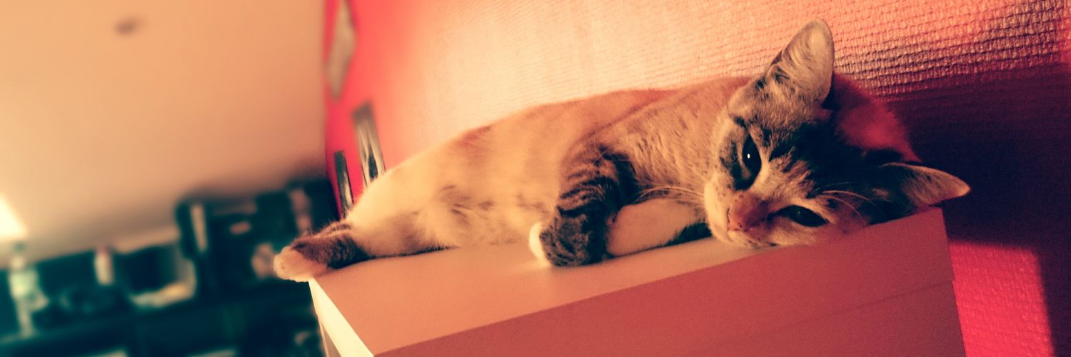 Naokilachatte's profile banner image