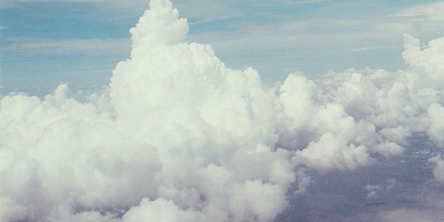 arielleallyson's profile banner image
