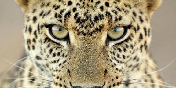 Maria_Lopez96's profile banner image