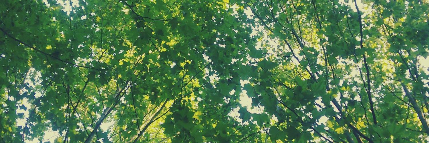 CrisValerio93's profile banner image