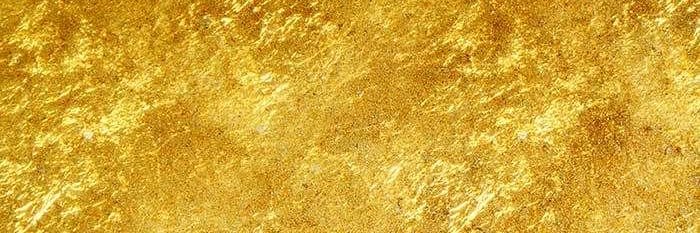 lfolsneslea's profile banner image