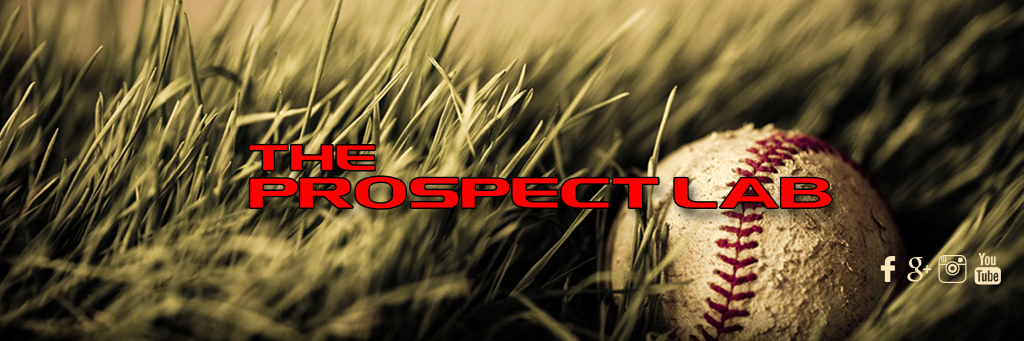 TPL Baseball Development's banner