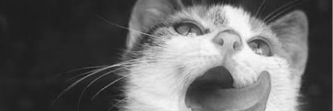bexolt's profile banner image
