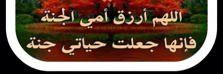 rami_kurdi's profile banner image