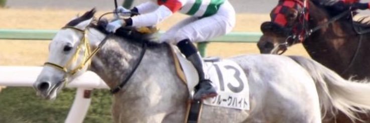 ぶらじblaj banner