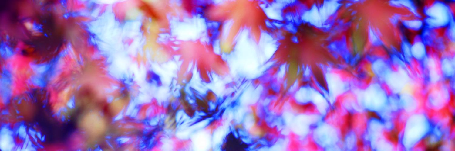 Arkbass's profile banner image