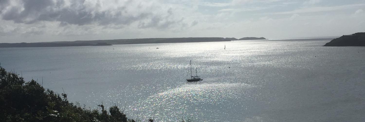 Sioned Thomas banner