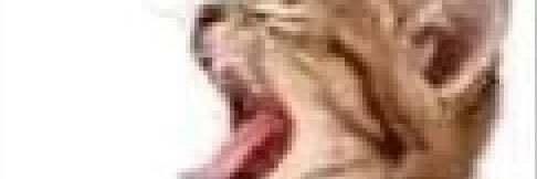 clairobags's profile banner image