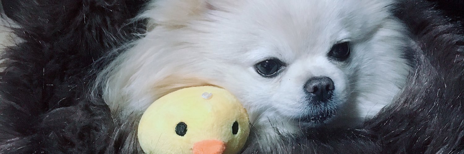 H_irafu's profile banner image