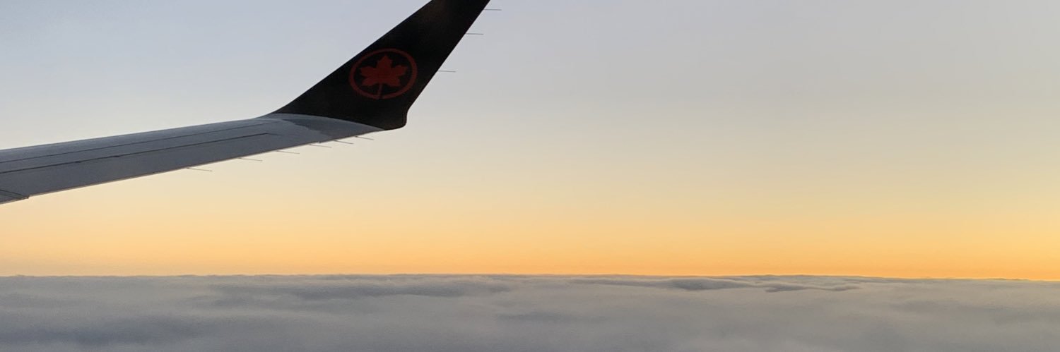 Sarahtonin (she/her) banner