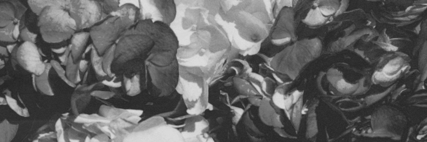 Lana Del Rey Online's banner