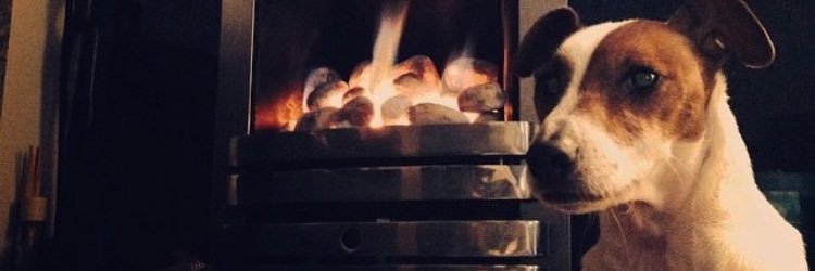 ratemydogk9's profile banner image