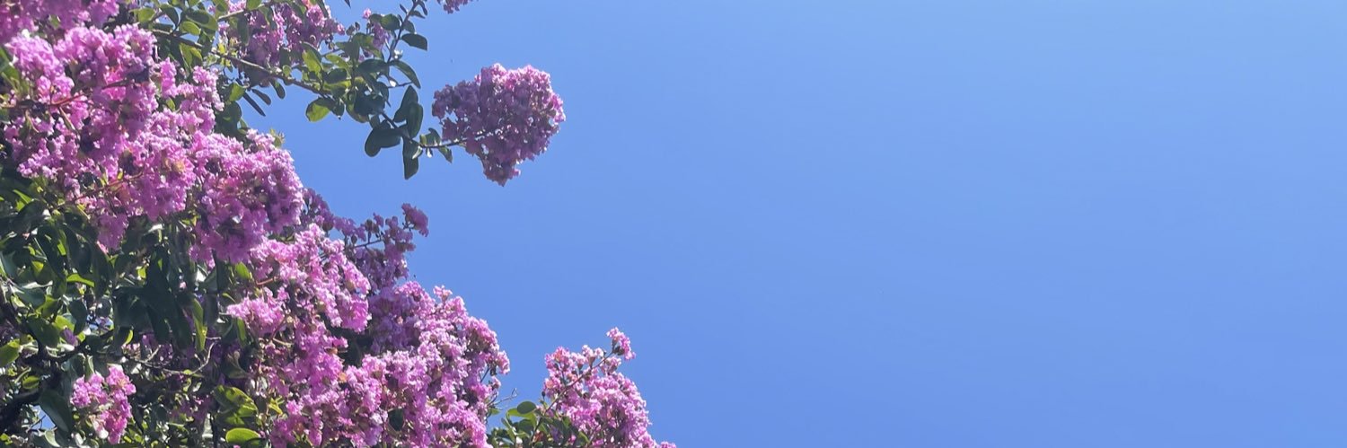 moragues_6's profile banner image