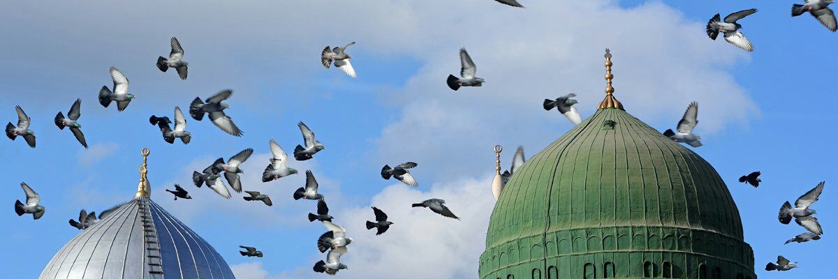 ibrahim_56947's profile banner image