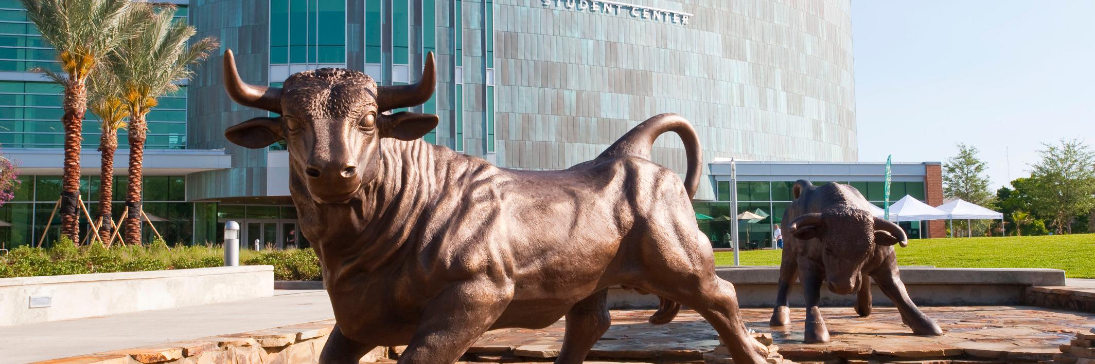 Bridge to Doctorate banner