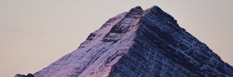 Michael Willis banner