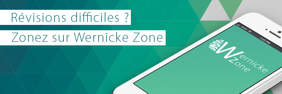 WernickeZone's profile banner image