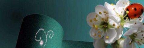 GayasAhamad's profile banner image