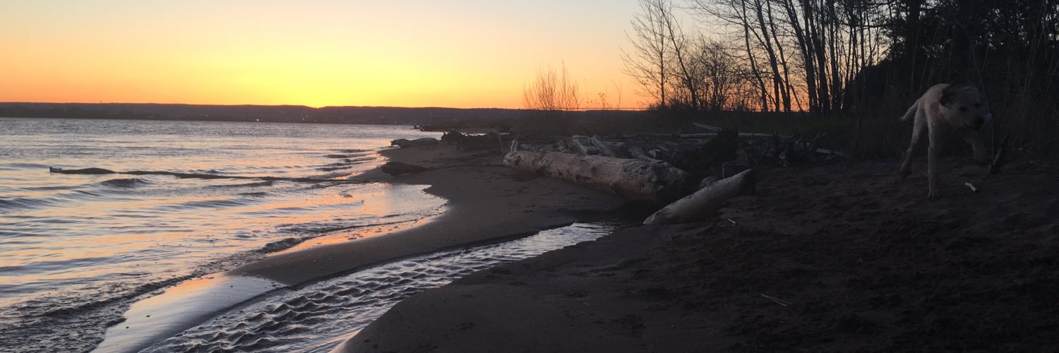 Josh Soderholm banner