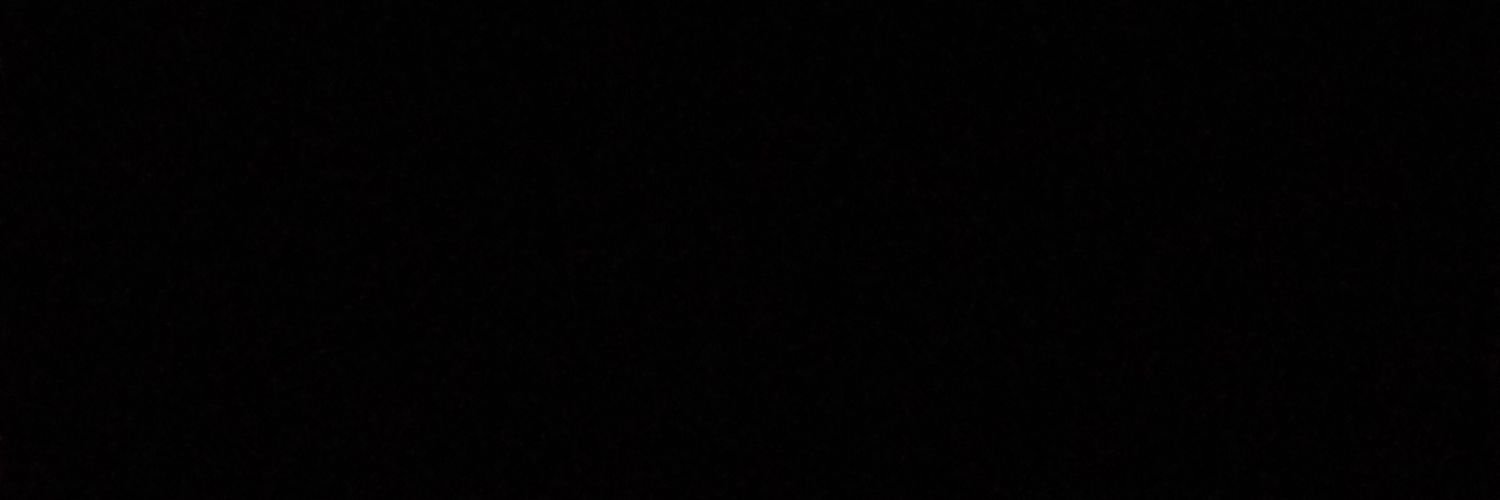 ravidashley's profile banner image