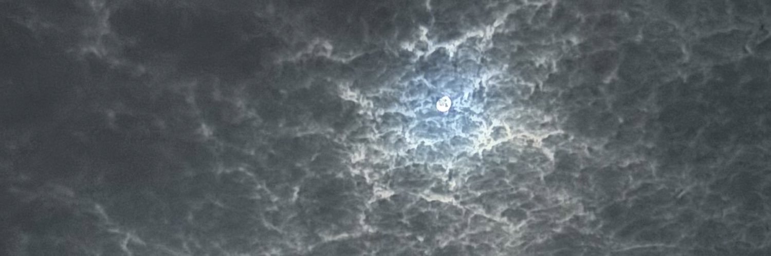 shlii_0's profile banner image