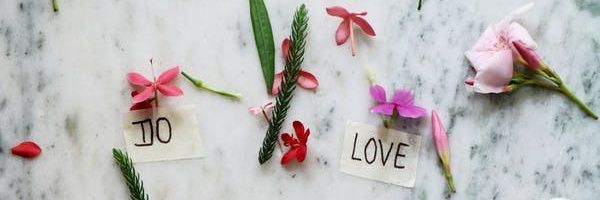 Ryan_havas's profile banner image