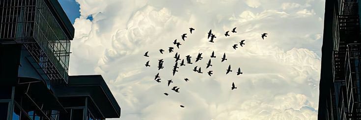 Cosmo_Vx's profile banner image