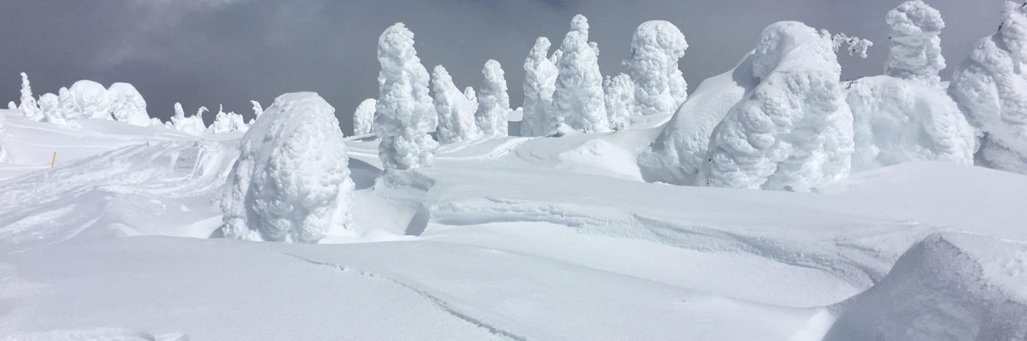 Merridy Lithgow banner