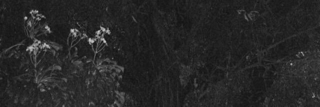 Kbrunoo758's profile banner image
