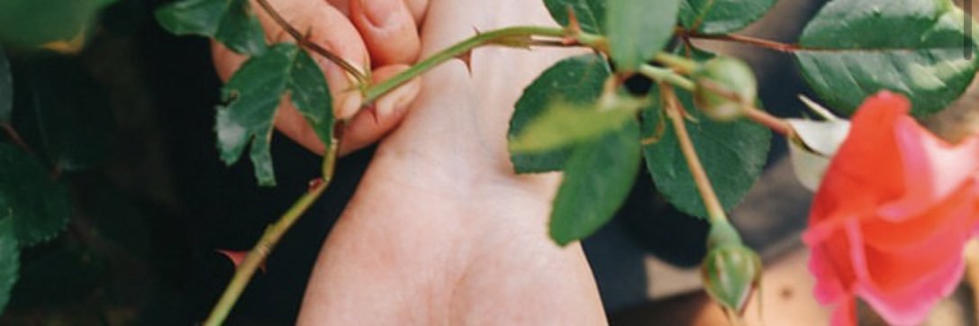 grapeseed815's profile banner image