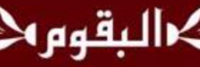 wmohmad2's profile banner image