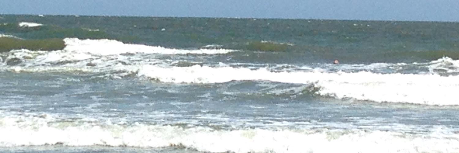 OakRidgeSwims's profile banner image