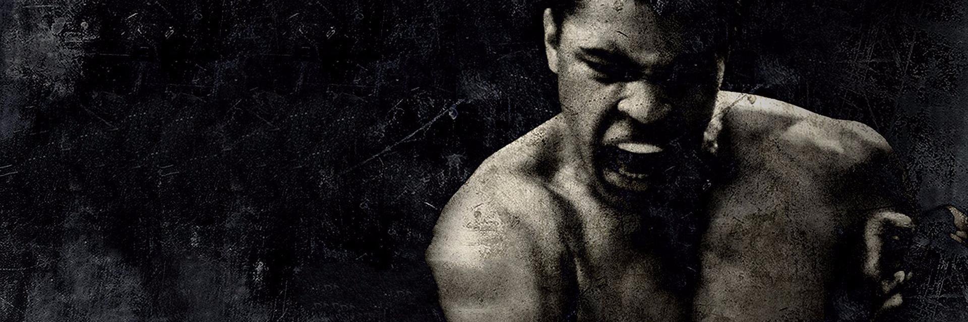 mckebabci's profile banner image