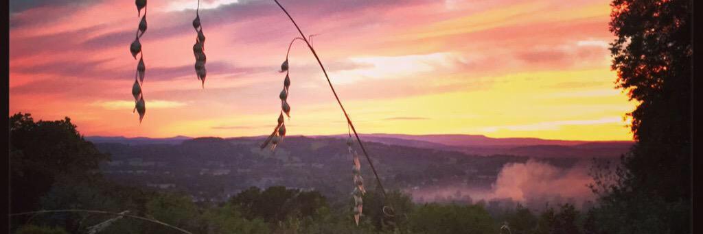 The Chase Inn banner