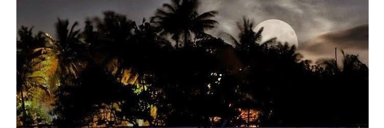 RashmiNakaskar's profile banner image