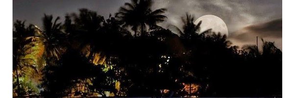 RashmiNakaskar Profile Banner