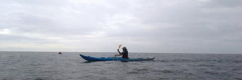 Ignasi Marimon-Clos banner