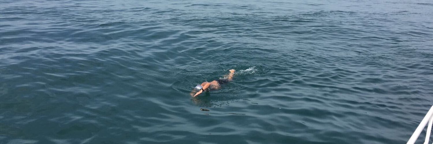 Adrian Wallington banner