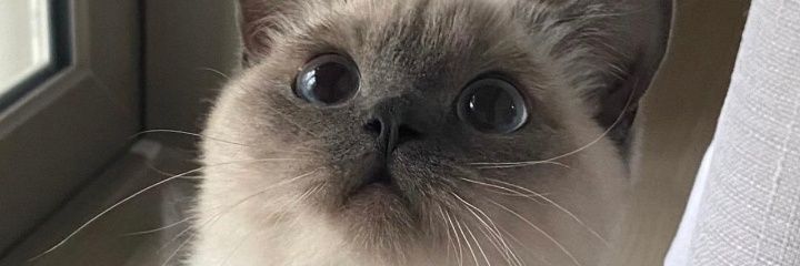cijee_'s profile banner image