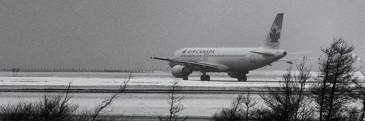 LAXinYYZ's profile banner image