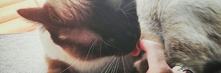 anavalero97's profile banner image