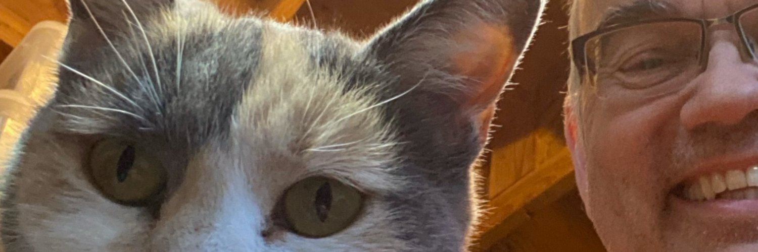 cookie_scoop's profile banner image