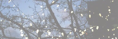 phanvines__'s profile banner image
