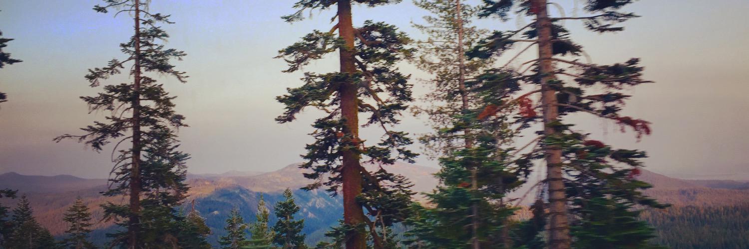 shanmcdonnell's profile banner image