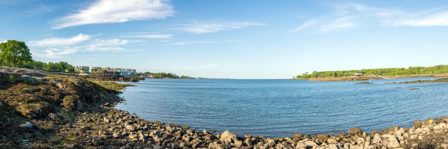 Save the Sound banner