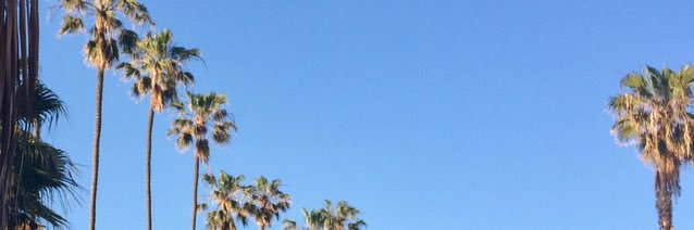 connielcanuck's profile banner image
