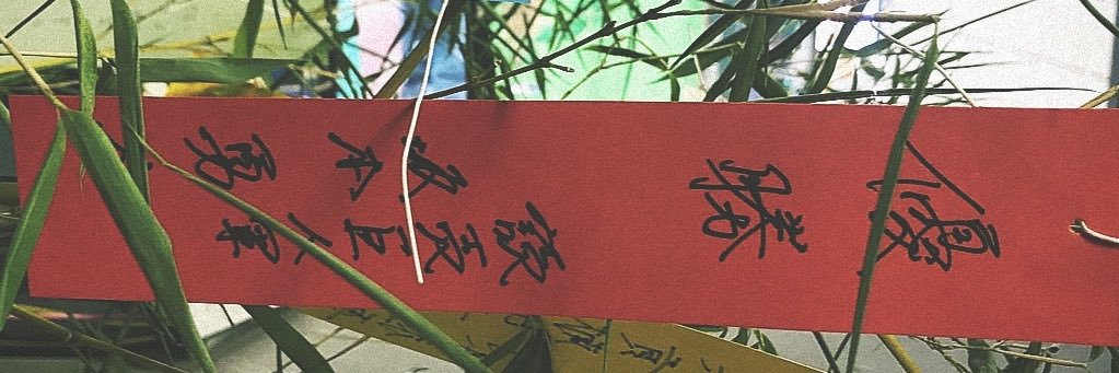 199674_'s profile banner image
