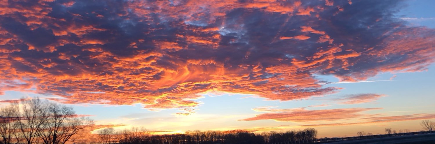 Reina_Couick's profile banner image
