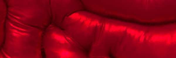 joyrayart Profile Banner